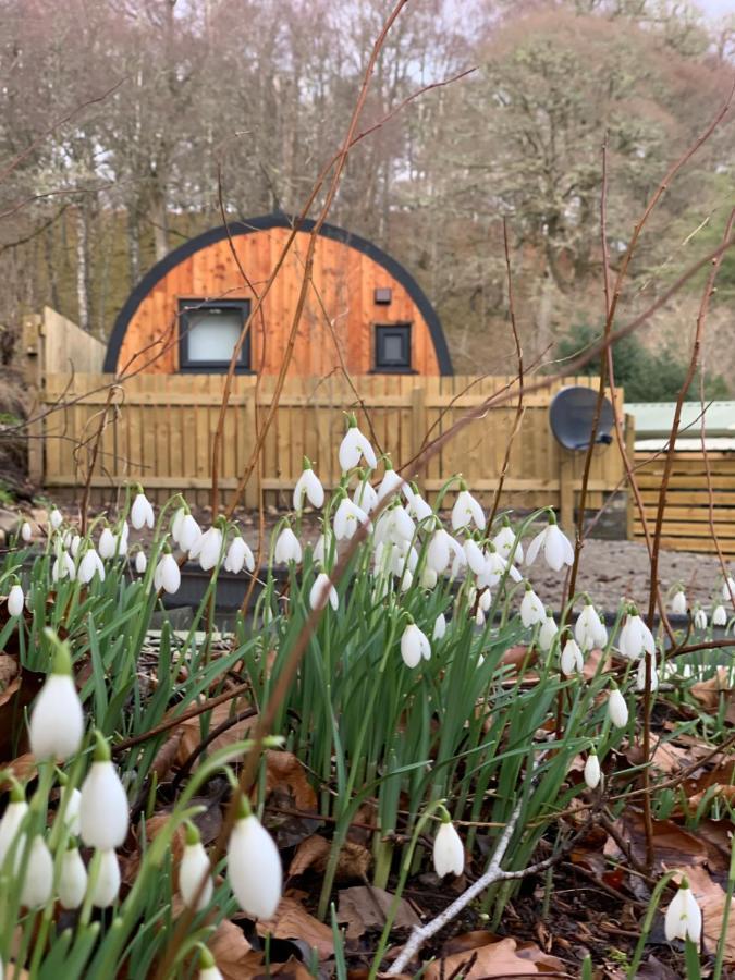 Loch Ness Woodland Pods Hotel Drumnadrochit Ngoại thất bức ảnh