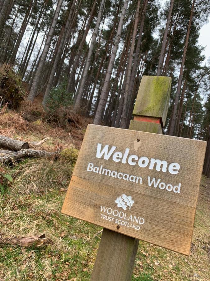 Loch Ness Woodland Pods Hotel Drumnadrochit Ngoại thất bức ảnh