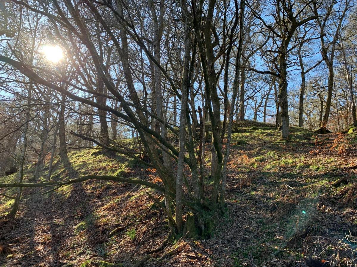 Loch Ness Woodland Pods Hotel Drumnadrochit Ngoại thất bức ảnh