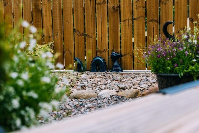 Loch Ness Woodland Pods Hotel Drumnadrochit Ngoại thất bức ảnh